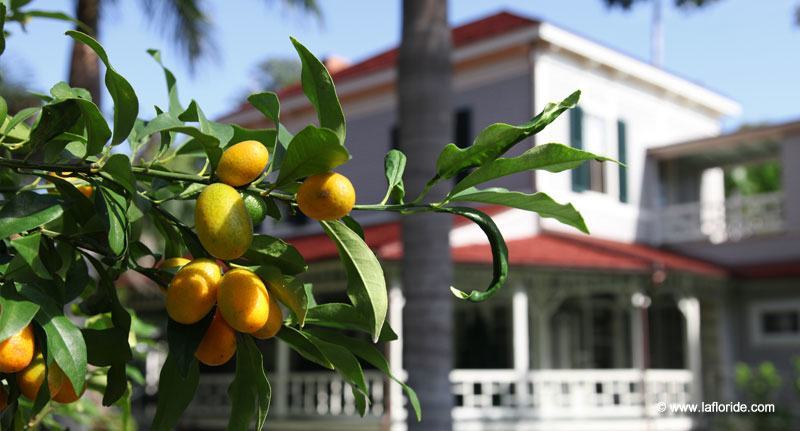 Edison and Ford Winter Estates à Fort Myers