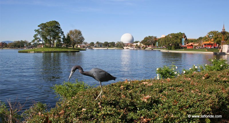 World Showcase Lagoon à EPCOT