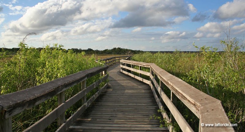 Anhinga Trail aux Everglades