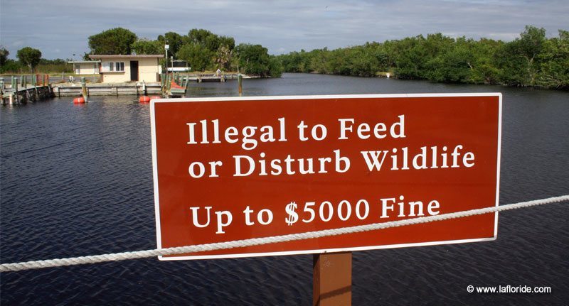 Parc des Everglades, Floride