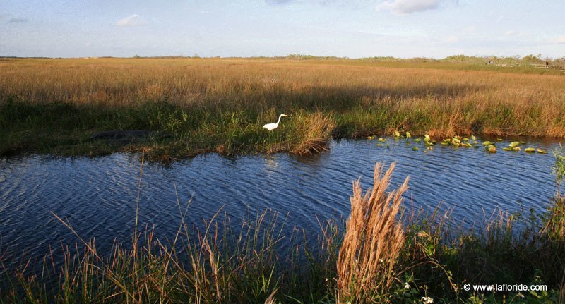 Parc national des Everglades