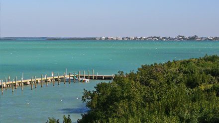 Sorties et excursions à Key Largo