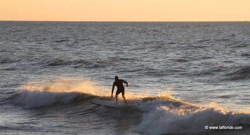 Surfeur en Floride